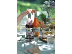 Biotta Biotta Demeter Rüebli-Orange-Ingwer 6 x 0.5 l