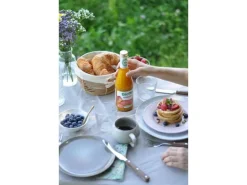 Biotta Säfte Mango Mix Bio 0.5 l