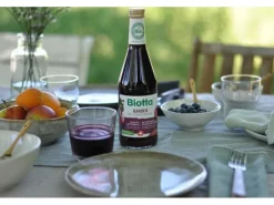 Biotta Säfte Randen Bio 0.5 l