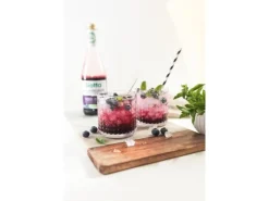 Biotta Säfte Wald-Heidelbeere Bio 6 x 0.5 l