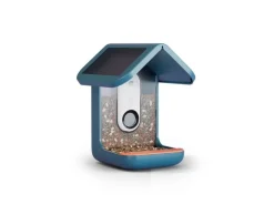 Birdbuddy Futterspender PRO Solar mit AI-Vogelerkennung