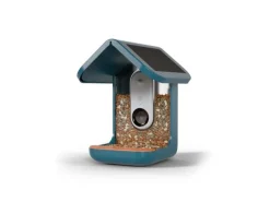 Birdbuddy Futterspender PRO Solar mit AI-Vogelerkennung