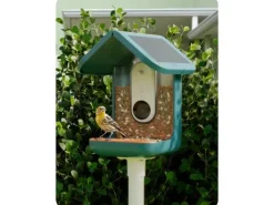 Birdbuddy Futterspender PRO Solar mit AI-Vogelerkennung