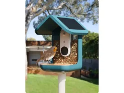 Birdbuddy Futterspender PRO Solar mit AI-Vogelerkennung