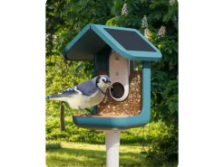 Birdbuddy Futterspender PRO Solar mit AI-Vogelerkennung