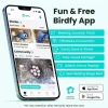 Birdfy Nistkasten mit Kamera und Solar
