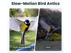 Birdfy Vogelhaus mit Kamera 60 fps 1080p