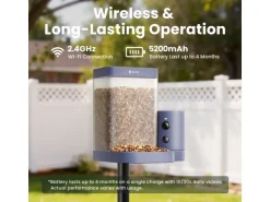 Birdfy Vogelhaus mit Kamera 60 fps 1080p