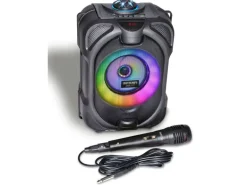 Bontempi Wireless Lautsprecher mit Mikrofon 80W