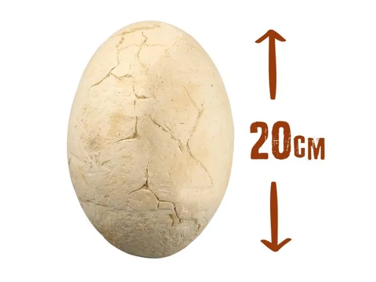 Buki Experimentierkasten Dino Mega Egg