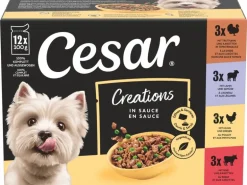 Cesar Nassfutter Selektion in Sauce 4 Varietäten 12 x 100 g