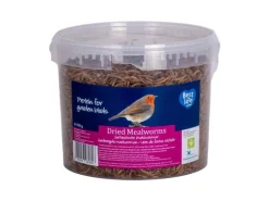 CJ Wildlife Vogelfutter Getrocknete Mehlwürmer, 900 g