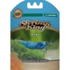 Dennerle Basisfutter Shrimp King Baby, 35 g