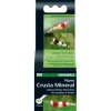 Dennerle Ergänzungsfutter Nano Crusta Mineral, 35 g