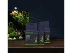 Dennerle Pflanzenpflege Plant Care Basic Root, 10 Stück