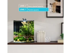 Dennerle Pflanzenpflege Plant Care Basic Root, 10 Stück
