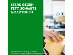 Dettol Allzweckreiniger Frischeduft 750 ml
