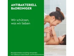 Dettol Antibakteriell Badreiniger Bergfrische 750 ml