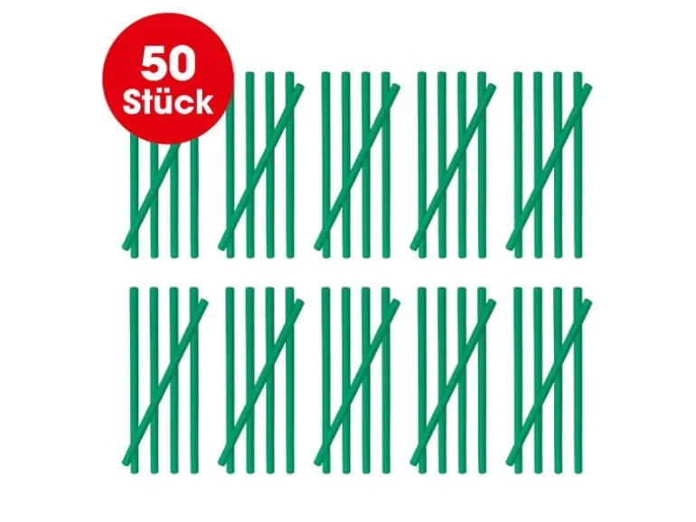 EASYmaxx Abflussreiniger Sticks Apfelduft 50 Stück