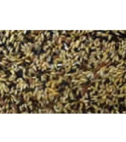 Eric Schweizer Ziervogelfutter Kanarien-Singfutter, 1 kg
