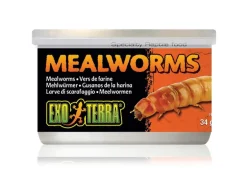 Exo Terra Dosenfutter Mealworms, 34 g