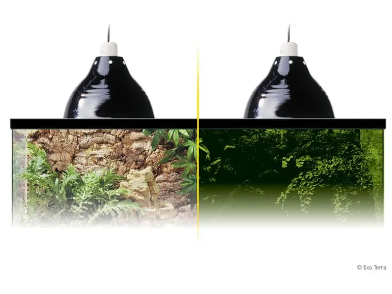 Exo Terra Klemmlampe Glow Light S, Ø 14 cm