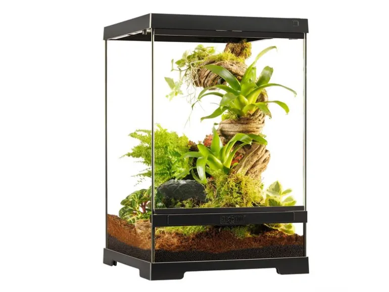 Exo Terra Pro Terrarium - 30 x 30 x 45cm – Steghöhe: 95 mm