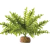 Exo Terra Regenwaldpflanze Boston Farn, S
