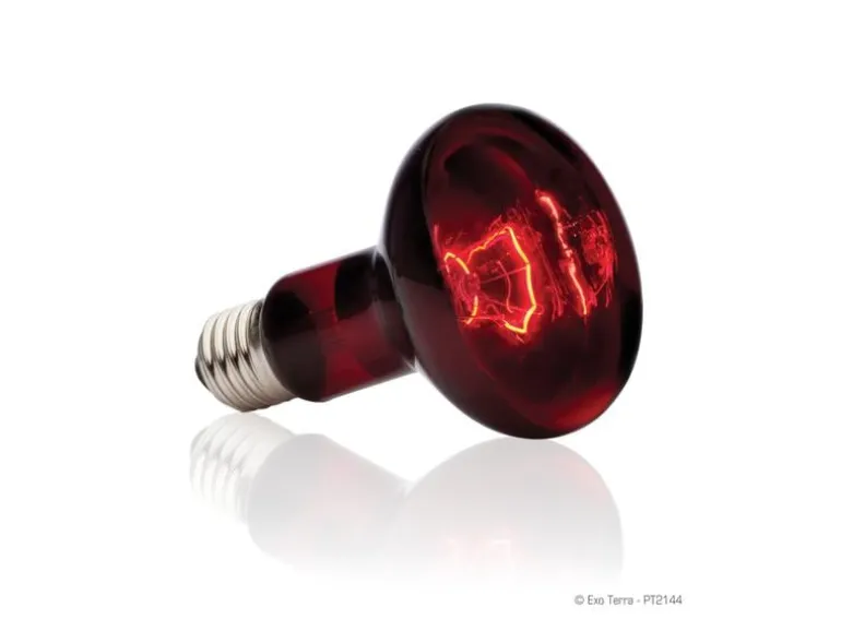 Exo Terra Terrarienlampe Infrared Basking Spot E27, R25/100W