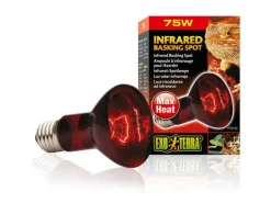 Exo Terra Terrarienlampe Infrared Basking Spot E27, R20/75W