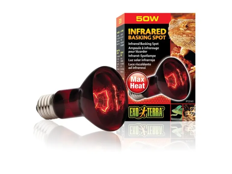 Exo Terra Terrarienlampe Infrared Basking Spot E27, R20/50W
