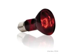 Exo Terra Terrarienlampe Infrared Basking Spot E27, R20/50W