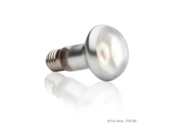 Exo Terra Terrarienlampe Intense Basking Spot E27, R20/75W