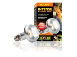 Exo Terra Terrarienlampe Intense Basking Spot E27, R25/100W