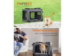 Feandrea Transportbox für Hunde & Katzen L