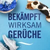 Febreze Lufterfrischer Spray Wildbeere 185 ml