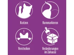 Feliway Wohlbefinden Classic Starter-Set, 48 ml