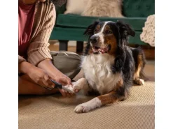 Fiskars Pet Care Nagelfeile für Hunde und Katzen, ergonomisch