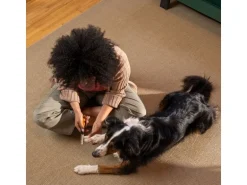 Fiskars Pet Care Nagelfeile für Hunde und Katzen, ergonomisch
