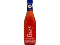Fizzy Soft-Drinks Mirtillo 6 x 0.46 l