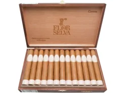 Flor de Selva Corona Kiste Handgerollt