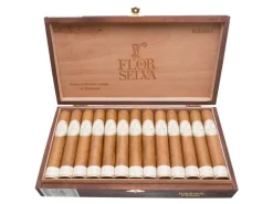 Flor de Selva Robusto Kiste