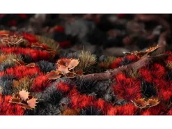 GamersGrass Tufts Wild Alien Blood Moon 6 mm