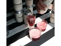 Hamada Soft-Drinks Hibiskusgetränk 12 x 0.33 l