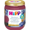HIPP Früchte Blaubeere Johannisbeere Apfel Haferflocken 160 g