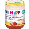HIPP Früchte Erdbeer Joghurt