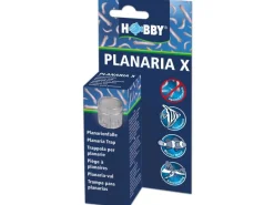 Hobby Aquaristik Zubehör Planaria X