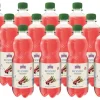 Holderhof Bio Rhabarberschorle 12 x 0.5 l