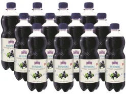Holderhof Bio Schwarze Johannisbeerschorle 12 x 0.5 l