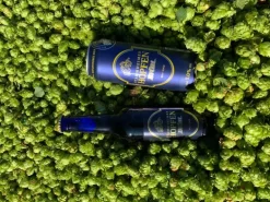 Hopfentropfen Bier Stammheimer Hopfenbräu naturtrüb 6 x 0.5 l